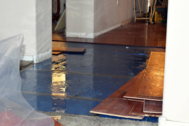 Professional Storm Water Damage Restoration technician working in Mesquite, NV